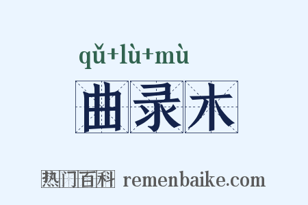 曲录木是什么意思的图片